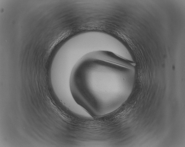 X0000061110735200512161413