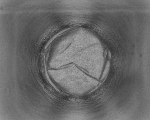 X0000061110742200512161413