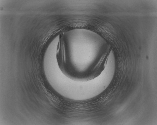X0000061110743200512161413