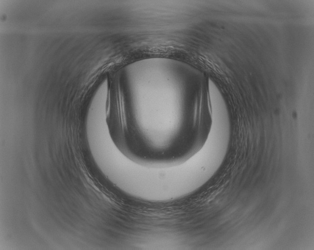 X0000061110744200512161413
