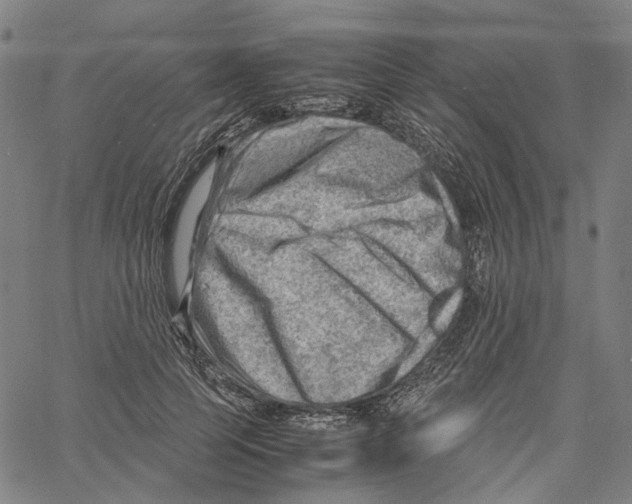 X0000061110745200512161413