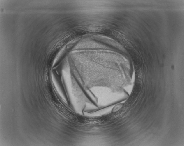 X0000061110746200512161413