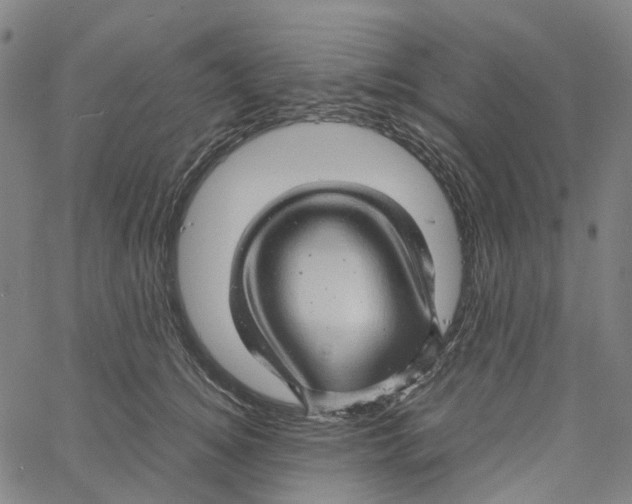 X0000061110756200512161413