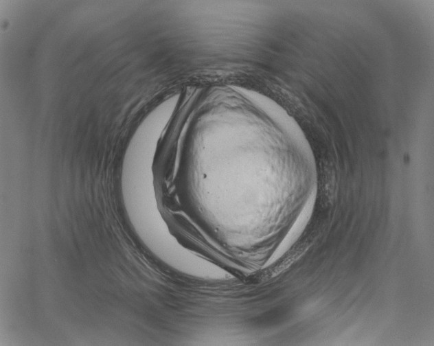 X0000061110758200512161413