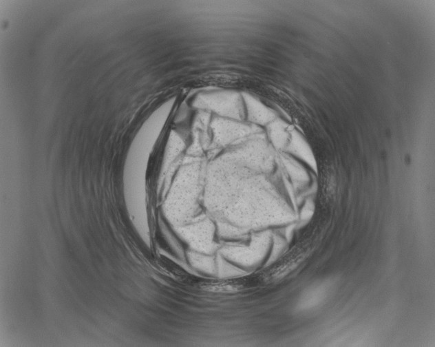 X0000061110759200512161413