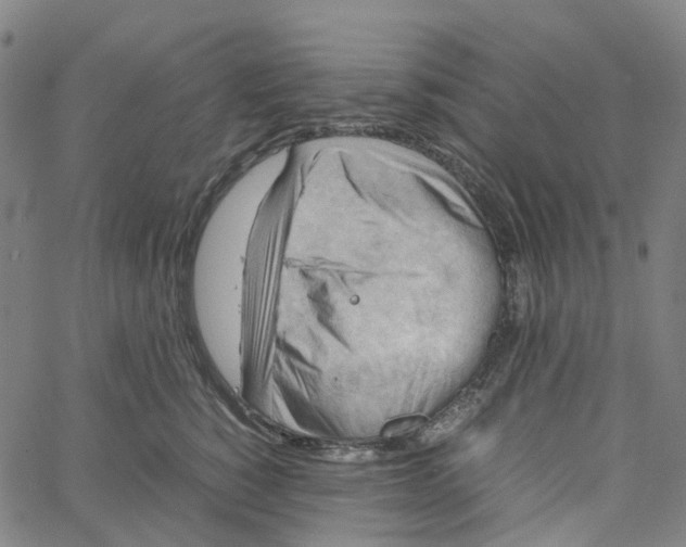 X0000061110760200512161413