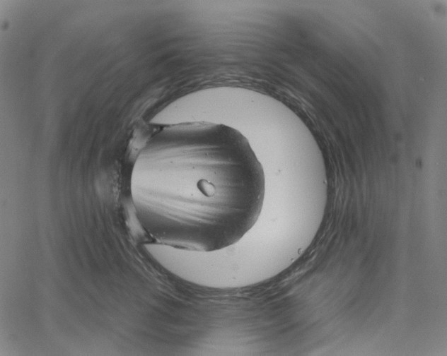 X0000061110762200512161413