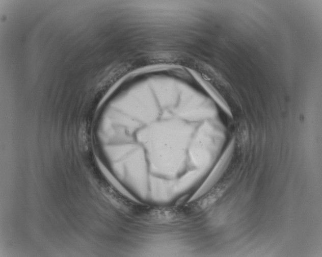 X0000061110764200512161413