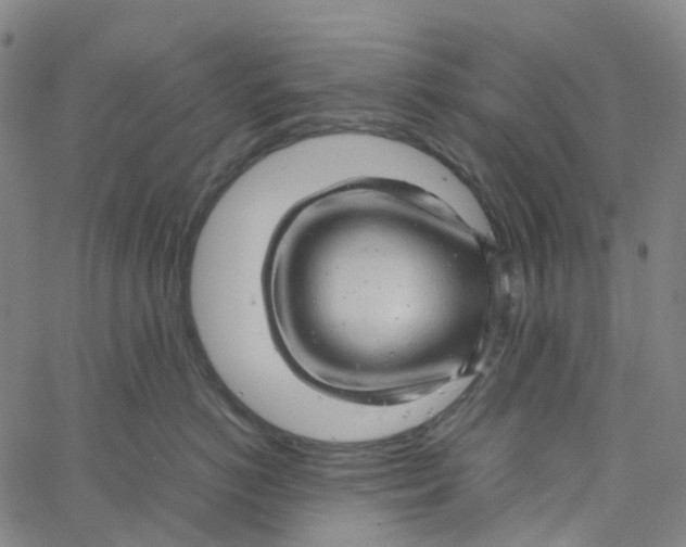 X0000061110766200512161413