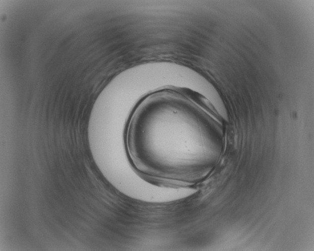 X0000061110767200512161413
