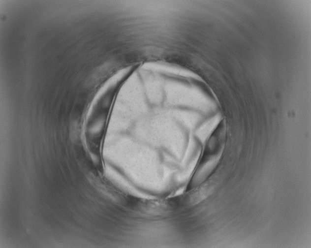 X0000061110768200512161413
