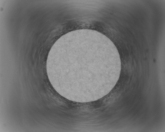 X0000061110769200512161413
