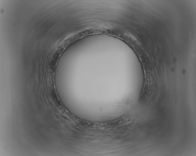 X0000061110773200512161412