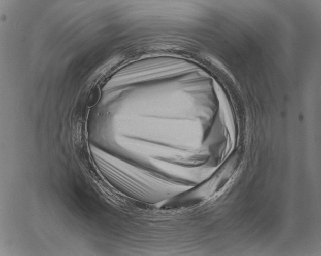 X0000061110777200512161412