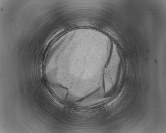 X0000061110782200512161412