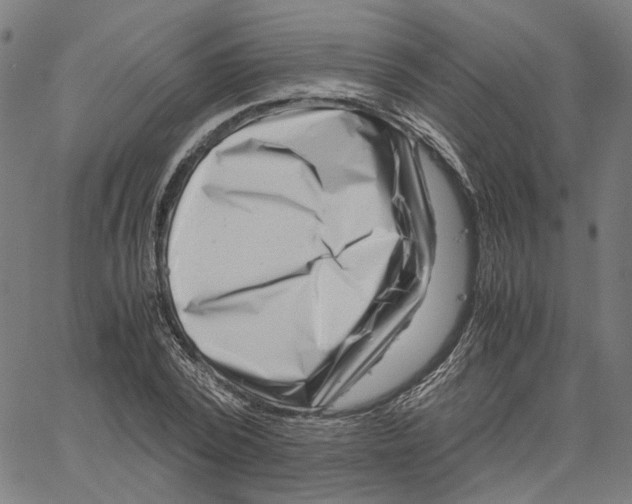 X0000061110784200512161412
