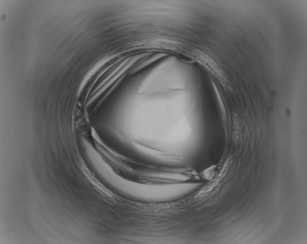 X0000061110788200512161412