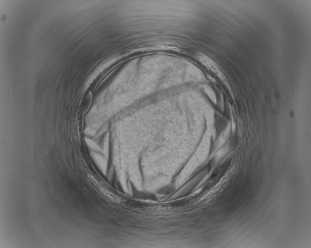 X0000061110789200512161412