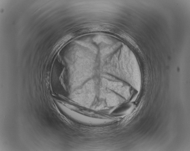 X0000061110793200512161412
