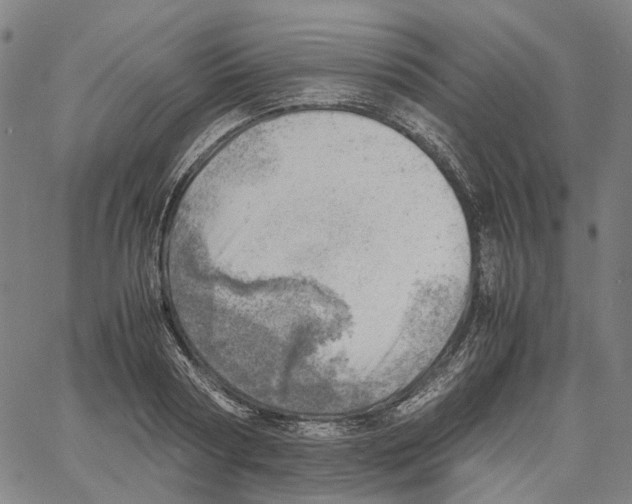 X0000061110794200512161412
