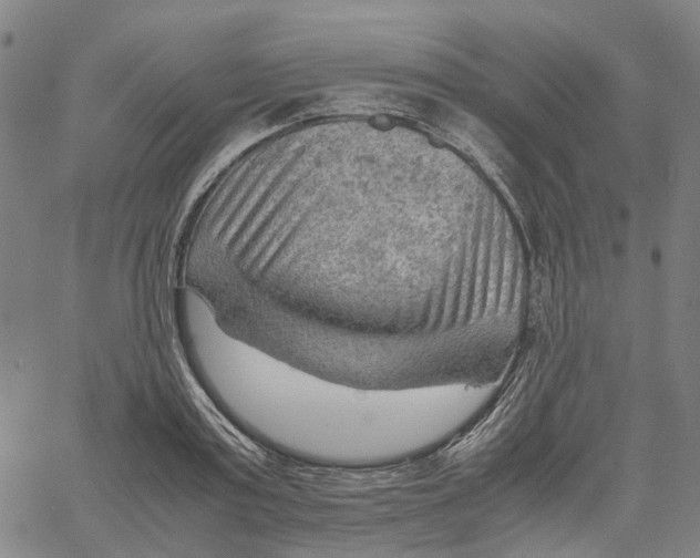 X0000061110795200512161412