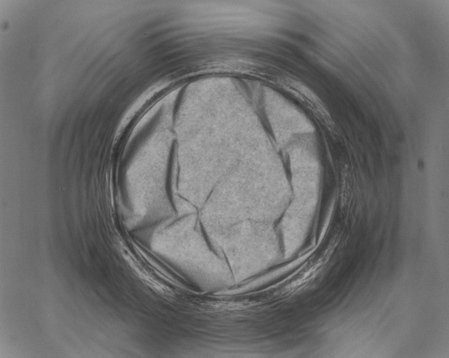 X0000061110796200512161412