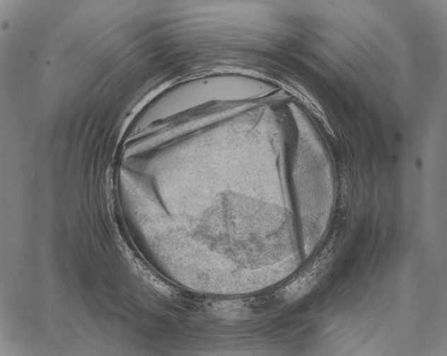 X0000061110798200512161412