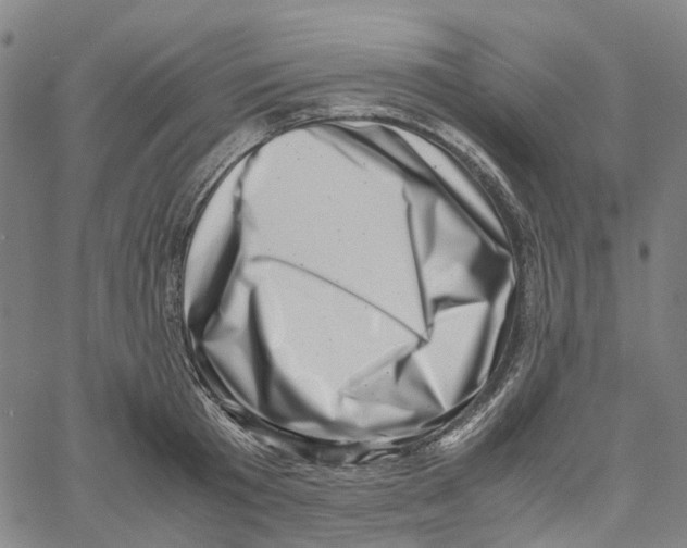 X0000061110801200512161412