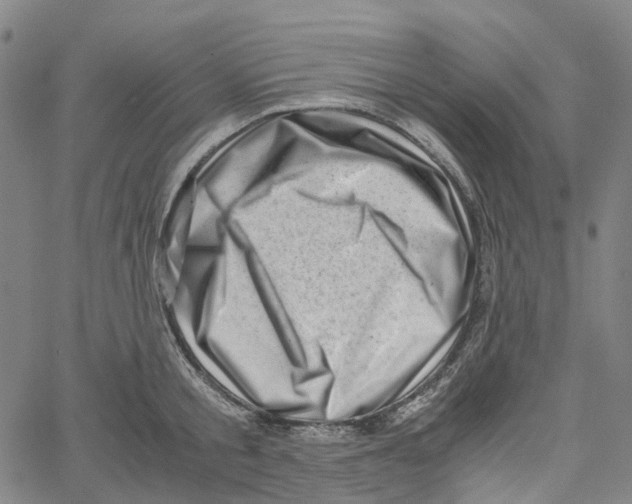 X0000061110805200512161412