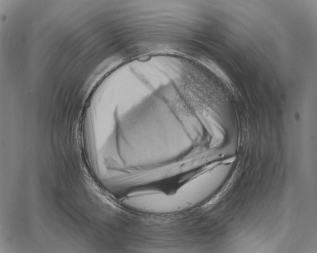 X0000061110806200512161412