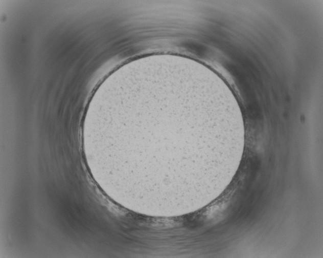 X0000061110807200512161412