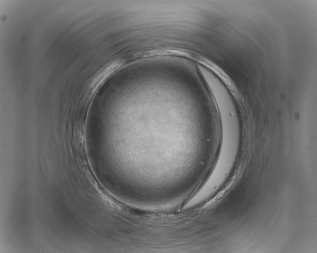 X0000061110809200512161412