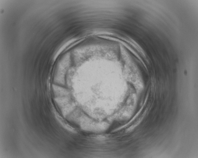 X0000061110814200512161412