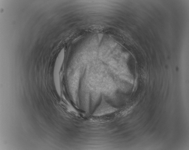 X0000061110818200512161411
