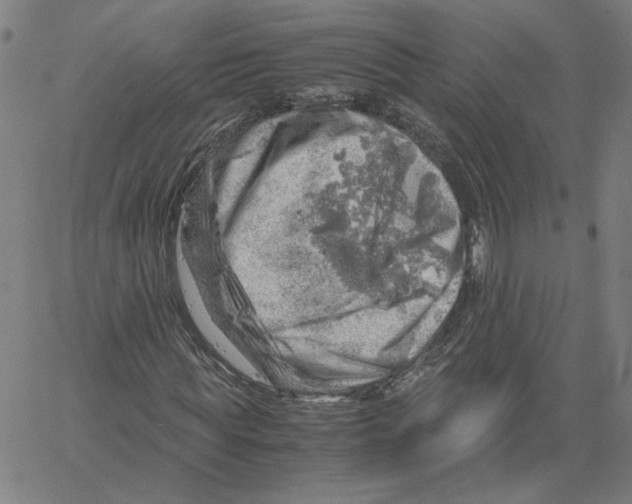 X0000061110819200512161411