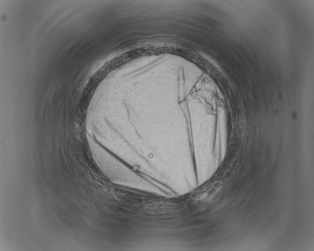 X0000061110823200512161411