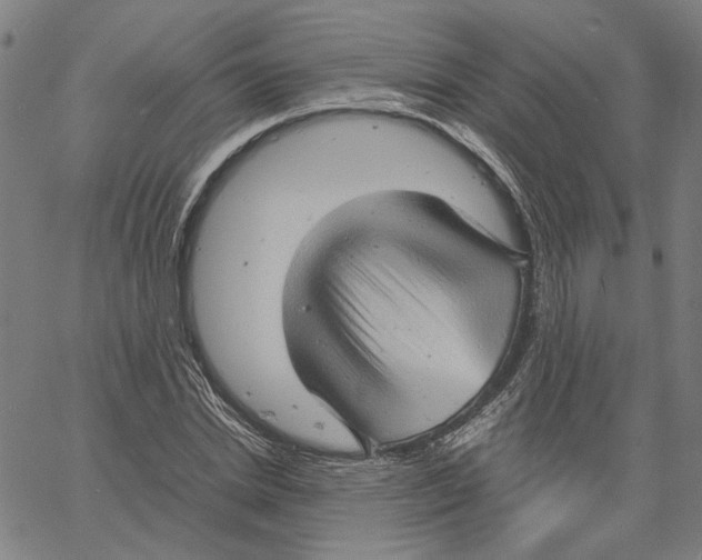 X0000061110830200512161411