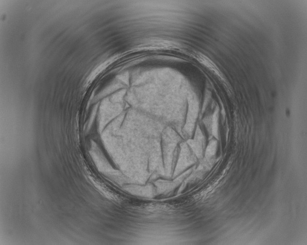 X0000061110842200512161411