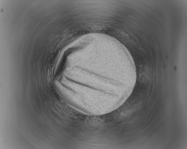 X0000061110866200512161411
