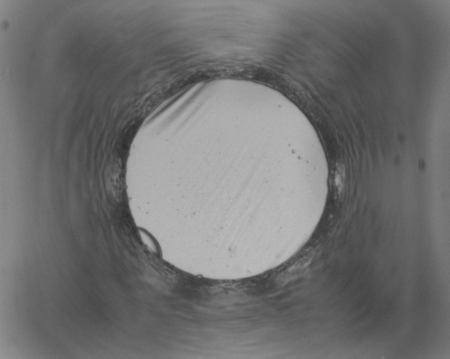 X0000061110867200512161411
