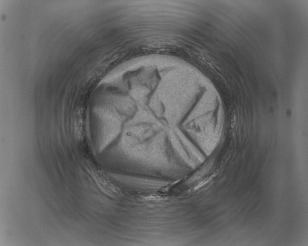 X0000061110868200512161411