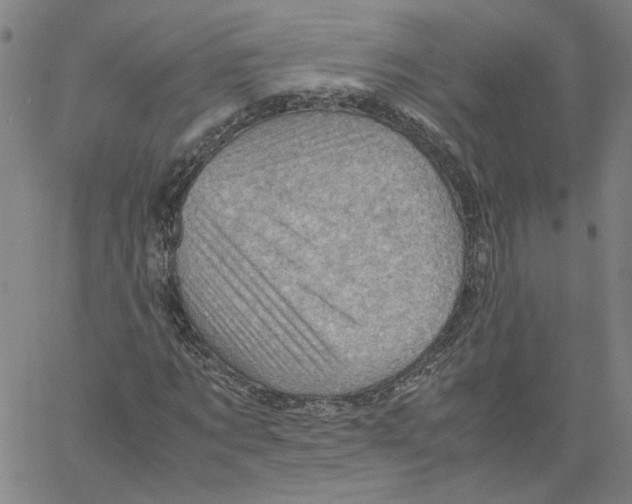 X0000061110869200512161411