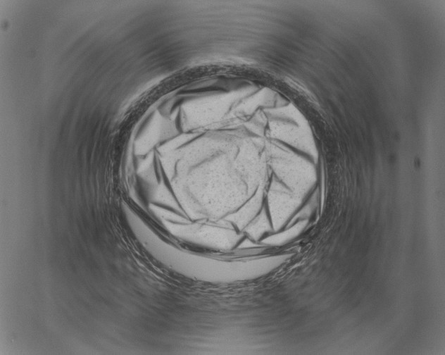 X0000061110872200512161411