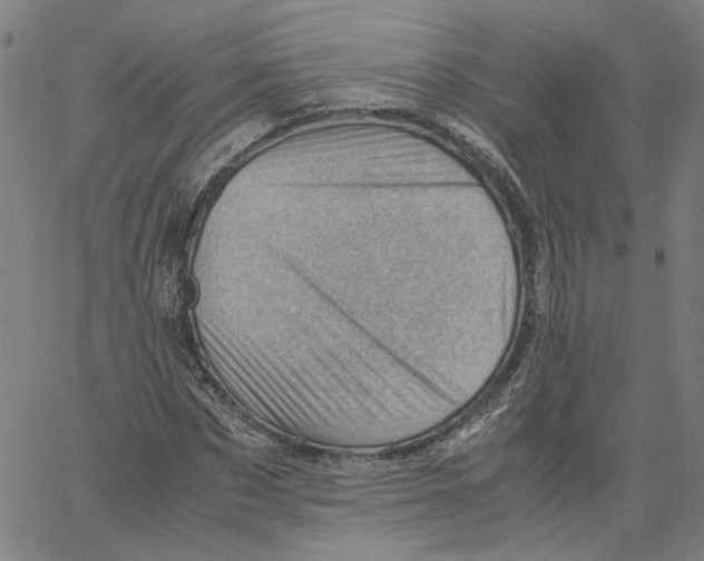 X0000061110873200512161411