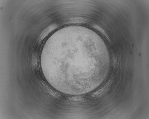 X0000061110874200512161411