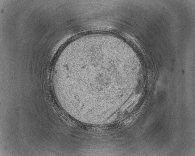 X0000061110875200512161411