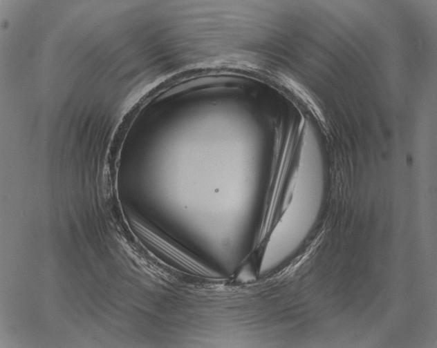 X0000061110876200512161411