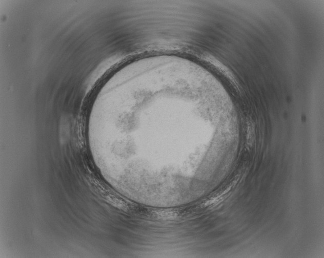 X0000061110878200512161411