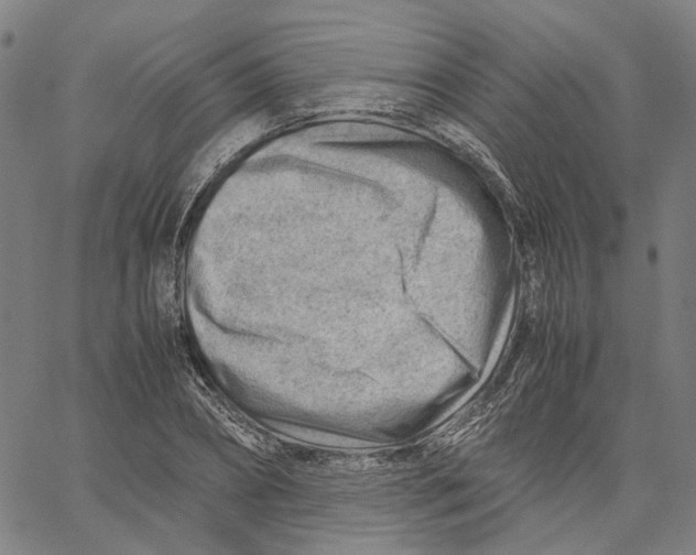 X0000061110882200512161411