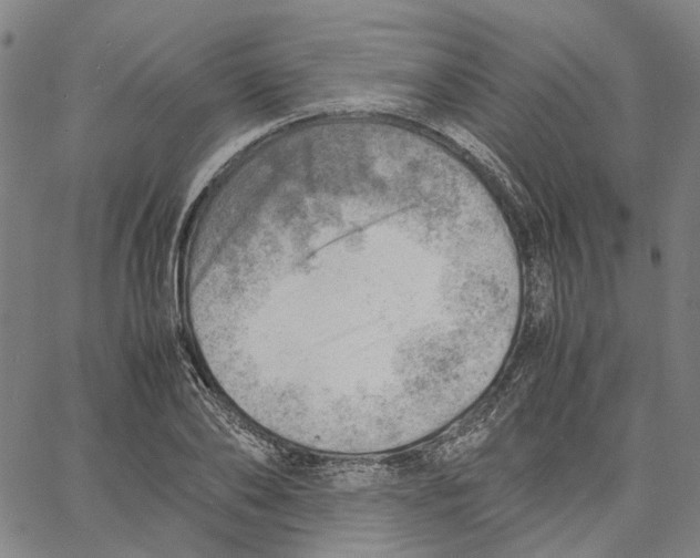 X0000061110886200512161411